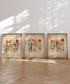 three framed pictures with flowers in them on a wooden floor