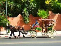 two people riding in a horse drawn carriage