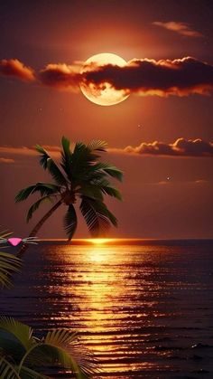 a palm tree sitting on top of a beach next to the ocean under a full moon