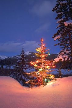 a christmas tree is lit up in the snow with mountains in the background at night