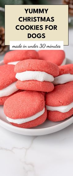 red and white cookies on a plate with the words yummy christmas cookies for dogs