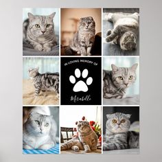 a collage of photos with cats and their paw prints on it's side