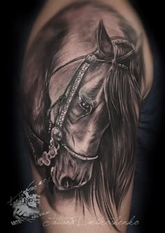 a black and white horse tattoo on the arm