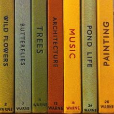 a row of books sitting on top of a wooden shelf