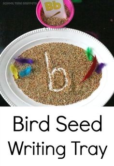 a bird seed writing tray with the letter b on it