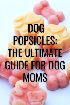 the ultimate guide for dog moms