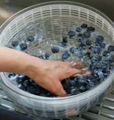 a person is washing blueberries in a bucket