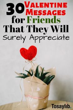 a potted plant with the words 30 valentine messages for friends that they will surely appreciate