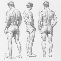 #poses #drawing #draw #pencil Corsets Drawing Reference, Man Body Reference Drawing, Draw Caricatures, Muscular Back, 남성 근육, Shorts Drawing, Male Figure Drawing, Draw Pencil, Man Anatomy