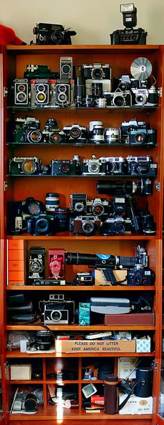 a wooden shelf filled with lots of different types of cameras