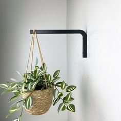 a potted plant hanging from a hook on a wall