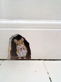 a small stuffed animal sitting in the corner of a wall