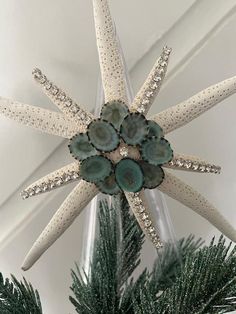 a starfish ornament hanging from a christmas tree