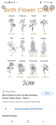 the birth flower chart is displayed on an iphone screen, with other flowers and names below it