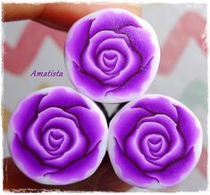 three purple roses sitting on top of each other in front of a white background with the words amatassa written below it