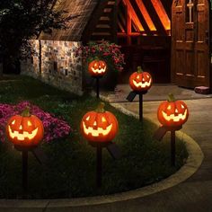 lighted pumpkins in the shape of jack - o'- lanternes on a lawn