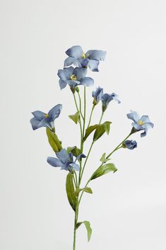 blue flowers are in a glass vase on a table