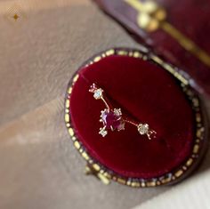 a close up of a red velvet box with a gold and diamond brooch on it