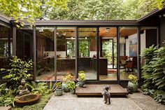 a dog standing in front of a glass house