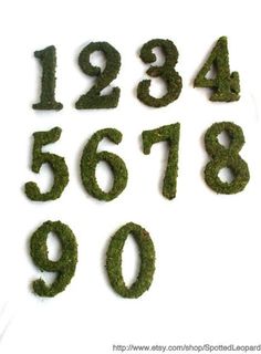 moss numbers are arranged in the shape of letters