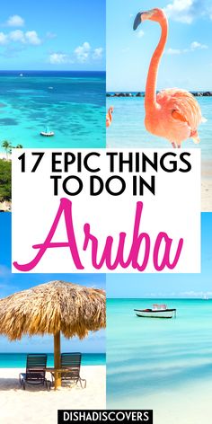 the beach with pink flamingos and text that reads 17 epic things to do in aruba