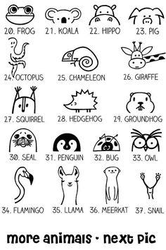 an image of animals and their names in black ink on a white background with the words more animals next pic