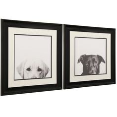 two black and white framed pictures with a dog's face