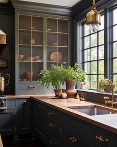 a kitchen with black cabinets and gold trimmings on the windowsill, potted plants in front of an open window