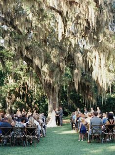 an outdoor ceremony under a large tree with moss hanging from it's branches and people seated at the end