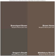 three different shades of brown paint with the names of each one on it and below them