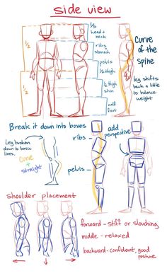 an image of how to draw the human body with different angles and positions on paper