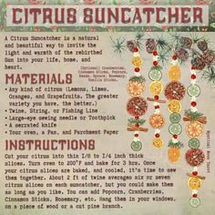 an old recipe for citrus suncather with instructions on how to use the fruit