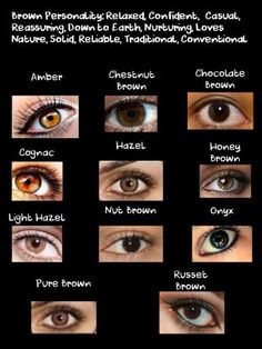 an image of different types of eyes with their names in the description above it and below them