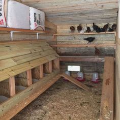 several chickens in a small coop with wood flooring and walls that have been built into the wall