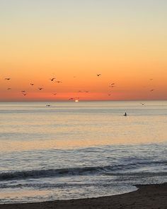 birds are flying over the ocean at sunset