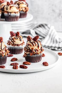 three cupcakes with pecans on a white plate next to one another and the rest of the cupcakes in the background