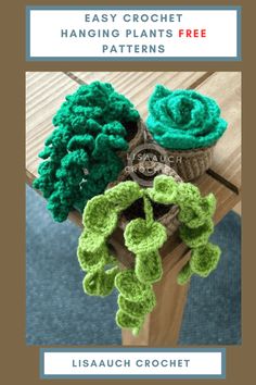 two crocheted plants sitting on top of a wooden table with text overlay reading easy crochet hanging plants free patterns