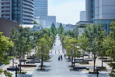 two people walking down the middle of a city street with trees and benches on both sides