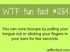 HOW TO CURE HICCUPS ?? MORE OF WTF FACTS are coming HERE Titanic histoy and fun facts Organize Life, Hiccup, 10 Seconds, Interesting Facts, 3rd Grade, Things To Know