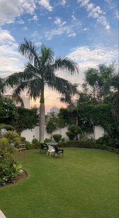 a lawn with chairs and palm trees in the background