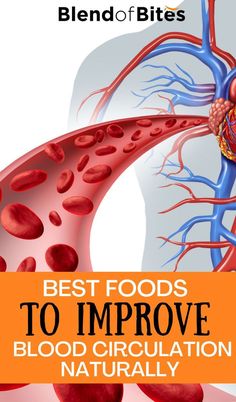 Good Diet, Vitamins And Supplements, Improve Blood Circulation, Healthy Eating Tips