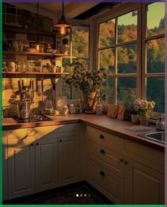 an image of a kitchen setting with sun coming through the window and potted plants on the counter