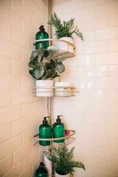 there is a shelf in the bathroom with plants on it