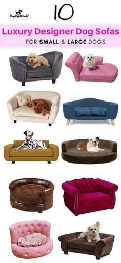 the top 10 luxury dog sofas for small and large dogs in various colors, sizes and