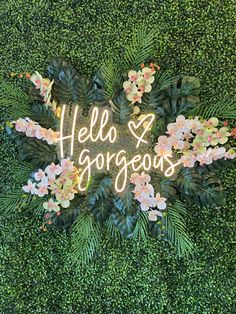 the words hello and gorgeous written in neon lights surrounded by flowers on top of a green wall