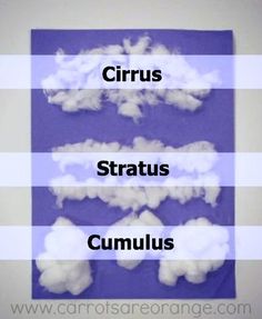 clouds are arranged on a purple and white striped background with the words circus, stratus, cumulus