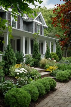 Year-Round Beauty: Evergreen Elegance 🌿✨ Juniper Garden Ideas, Layered Boxwood Landscaping, Front Porch Shrubs Curb Appeal, Evergreen Garden Design Front Yards, Landscape Boxwood Front Yard, Evergreens For Front Of House, Entryway Garden Designs, Traditional Landscape Design, Garden Bed Front Of House