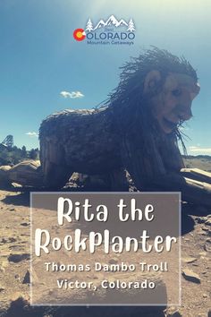 a wooden statue with the words rio the rockplanter in front of it