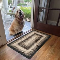 a dog is sitting on the front door mat