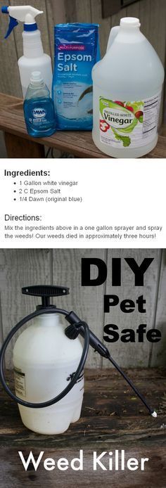 the instructions for how to use diy pet safe products